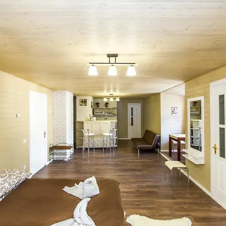 Kamyanitsa Apartment *